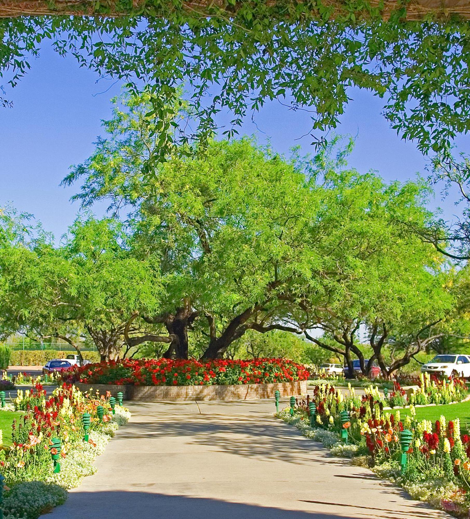The Lodge At Ventana Canyon Tucson Exterior photo